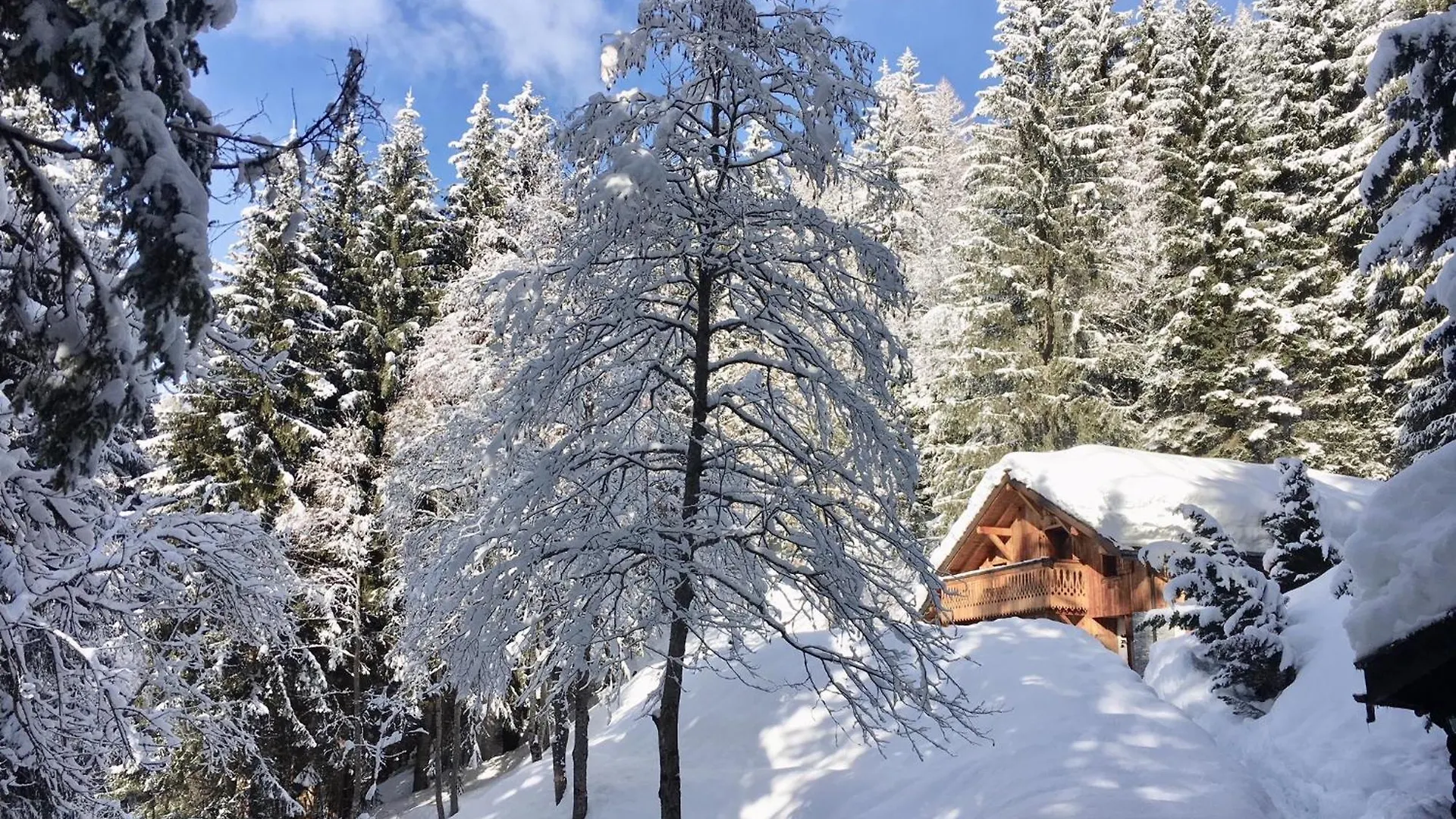 הוילה שאמוני Marmotte Mountain Retreat