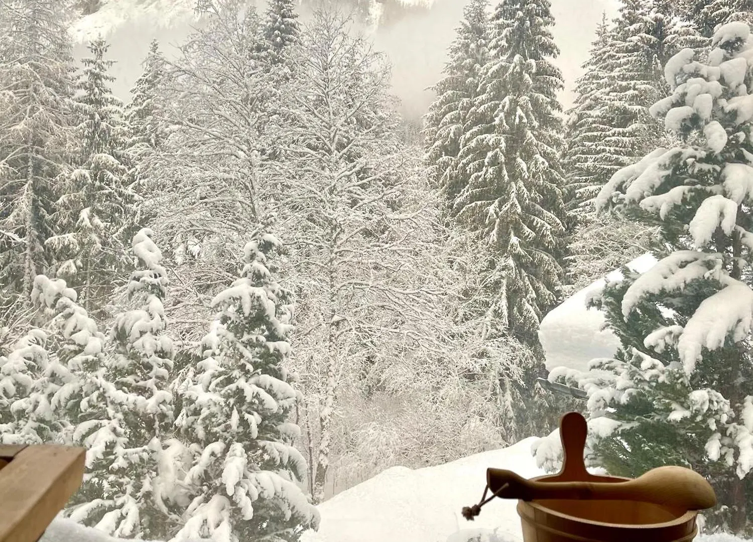 הוילה שאמוני Marmotte Mountain Retreat