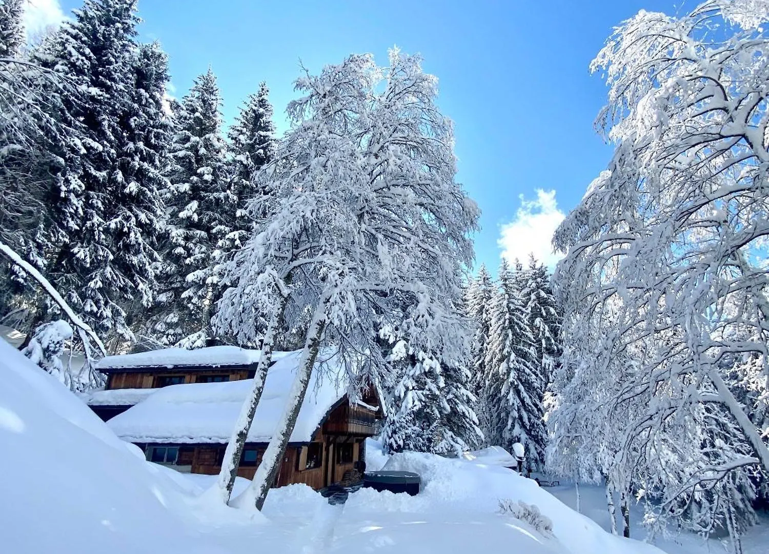 הוילה שאמוני Marmotte Mountain Retreat בקתה