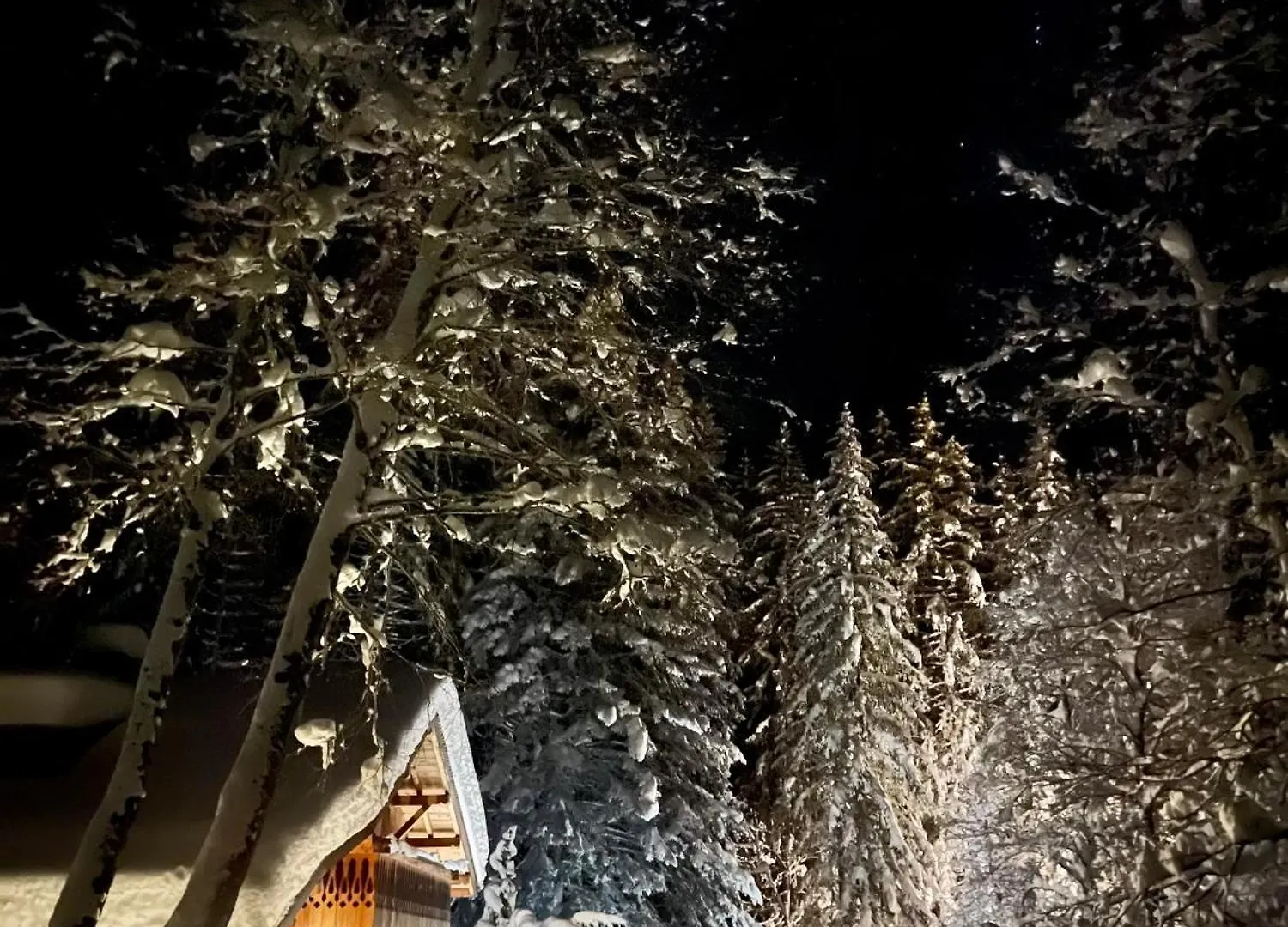 בקתה הוילה שאמוני Marmotte Mountain Retreat צרפת
